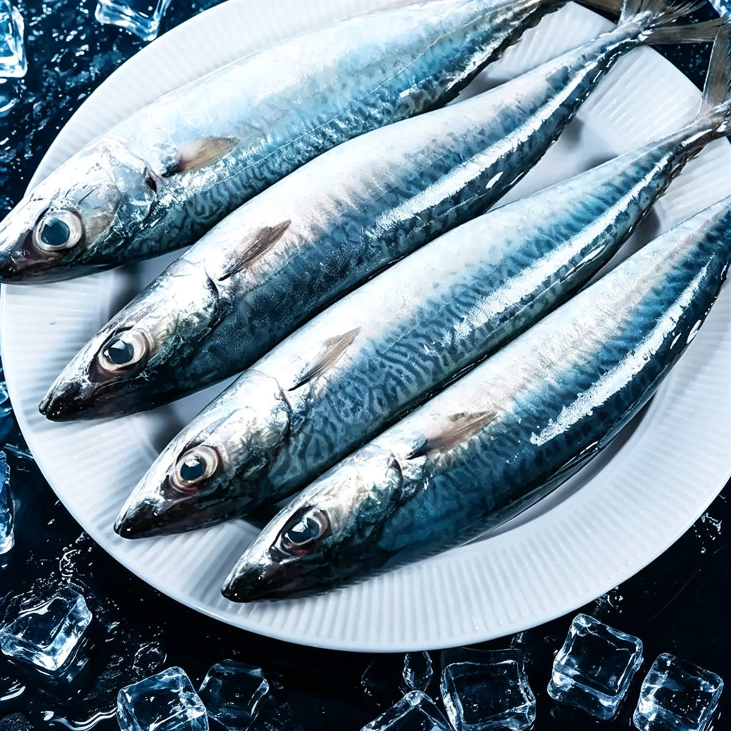 Wild-Caught Frozen Mackerel 1kg