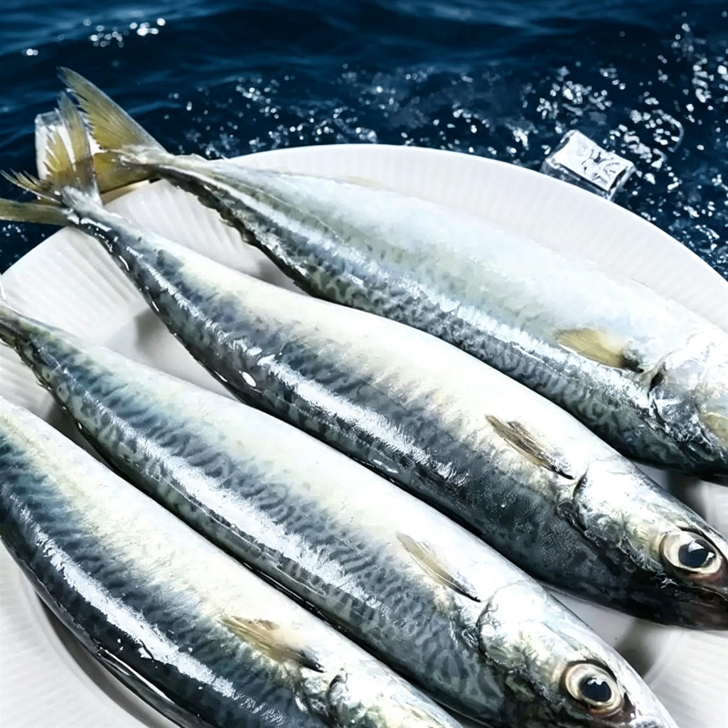 Wild-Caught Frozen Mackerel 1kg