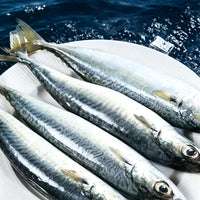 Wild-Caught Frozen Mackerel 1kg