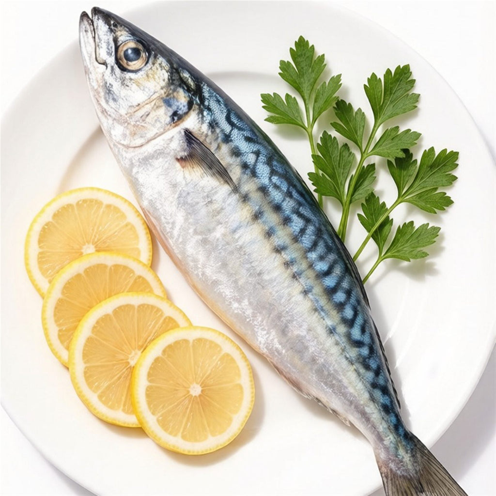 Fresh Frozen Whole Mackerel Fish